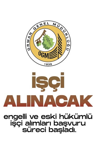 I M G 8170-1