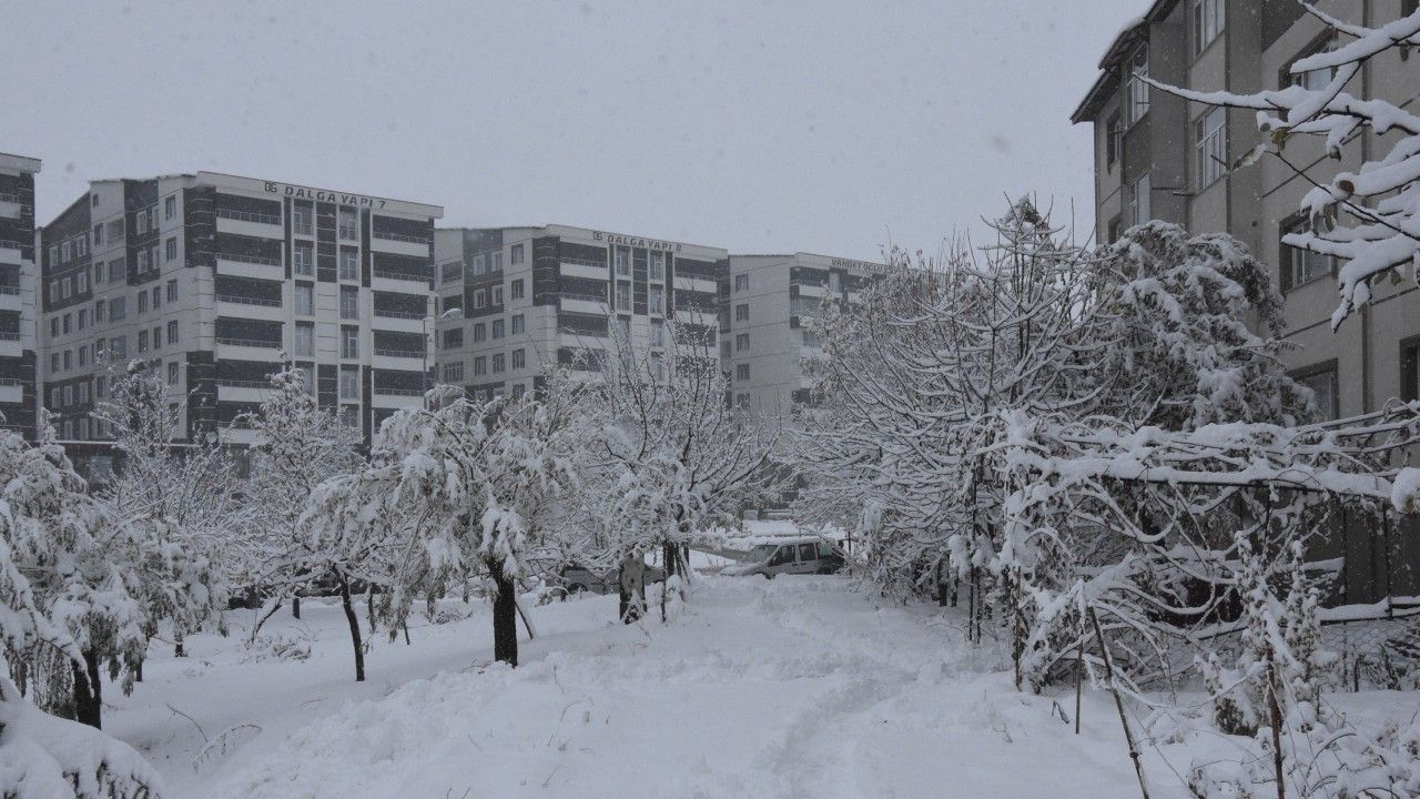 Bitlis'te 84 köy yolu ulaşıma kapandı