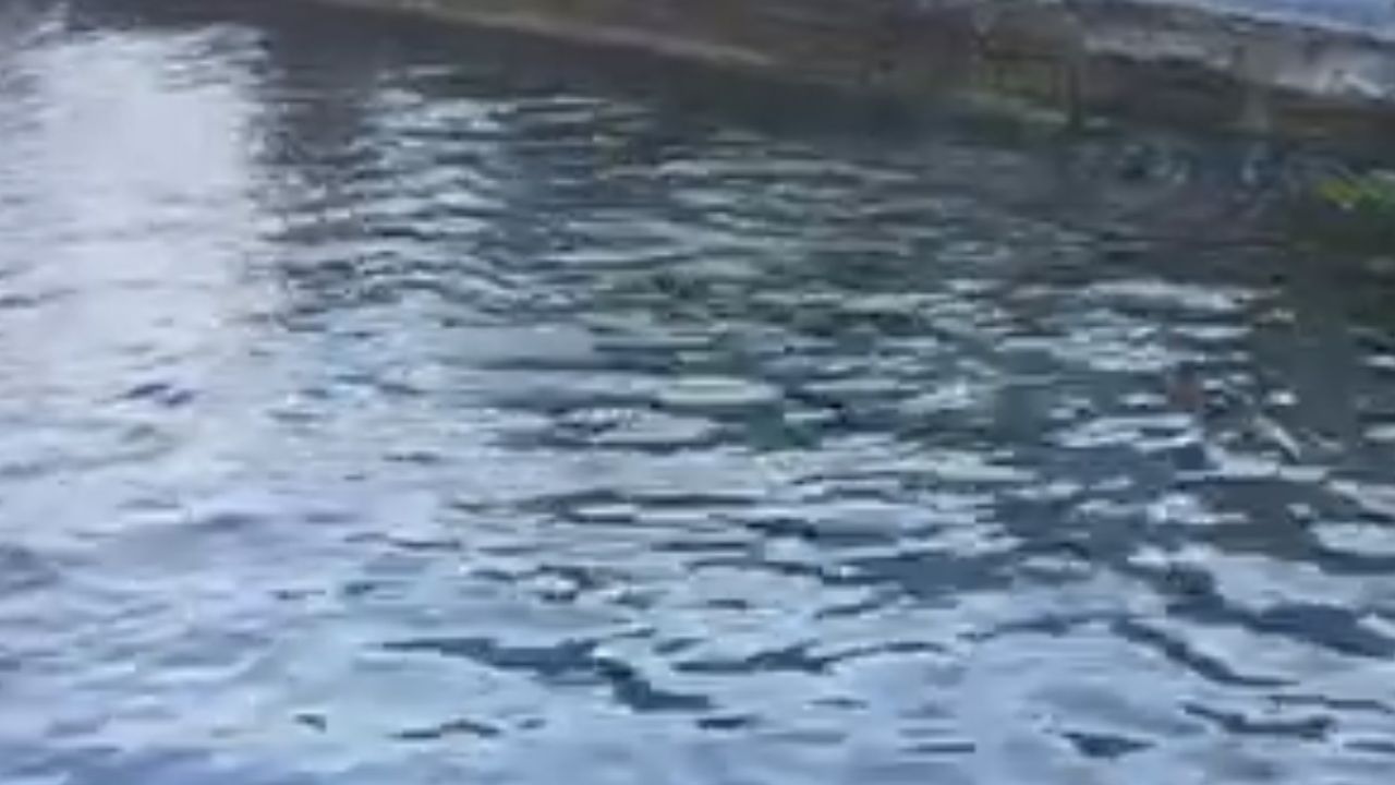 Sarıyer’de polisten kaçtı, 13 yıl hapis cezası çıktı