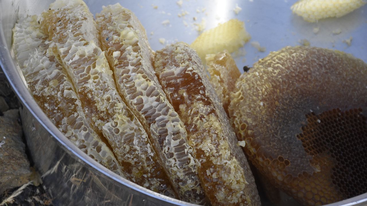 Bitlis Valisi Ahmet Karakaya, kara kovan bal hasadı yaptı