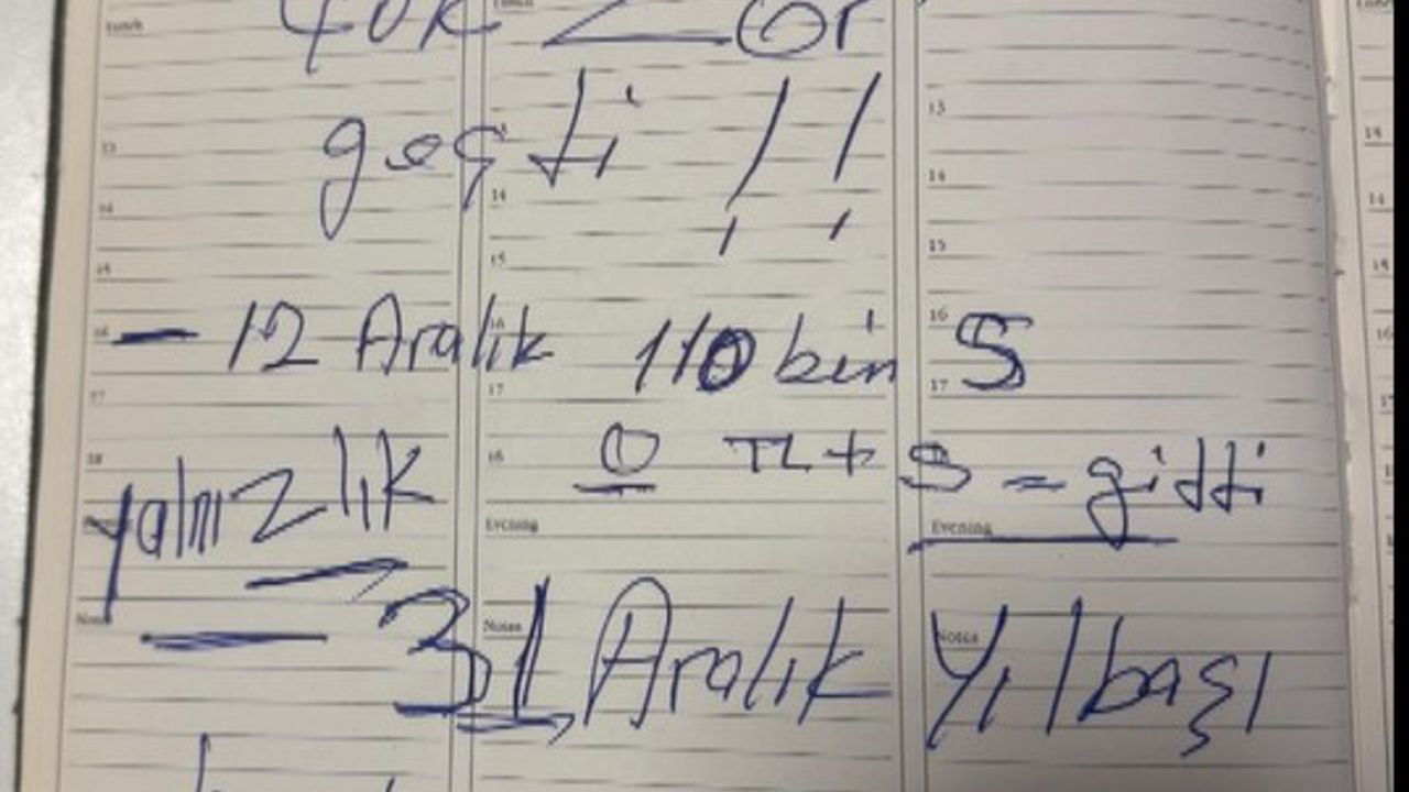 Emekli öğretmeni 117 bin dolar dolandırdı, suç ortağı payını ödemeyince ihbar etti