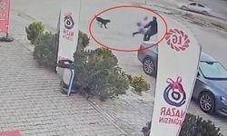 Bismil'de kız çocuğu, köpek saldırısından son anda kurtarıldı