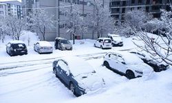 Bitlis’te okullara 1 günlük kar tatili