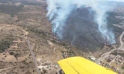 Çeşme'de makilik yangını