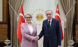 Cumhurbaşkanı Erdoğan, Akşener ile bir araya geldi