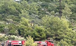 Bodrum ormanında başlayan yangın büyümeden söndürüldü