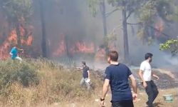 Maltepe'deki orman yangınına müdahale