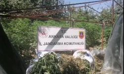 Ankara'da jandarma ekipleri 40 kilo esrar ele geçirdi