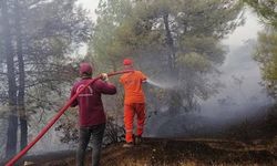 Kahramanmaraş’ta, 15 hektar orman yangında zarar gördü