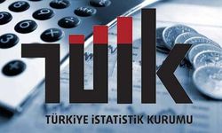 TÜİK: Ağustosta en yüksek reel getiri külçe altında gerçekleşti