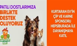 Hepsiburada, ‘Patili Dostlara Destek’ kampanyasını büyütmeyi hedefliyor