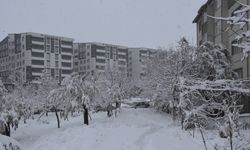 Bitlis'te 84 köy yolu ulaşıma kapandı