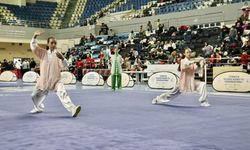 Wushu Türkiye Şampiyonası, Sakarya'da başladı