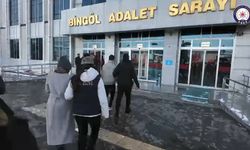 Bingöl'de terör operasyonu; 1 şüpheli tutuklandı