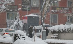 Hakkari'de yoğun kar yağışı hayatı felç etti