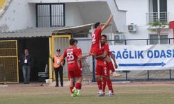 Fethiyespor : 3-1 : 24Erzincanspor