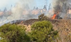 ABD'nin San Diego bölgesinde yangın riski sona ermedi