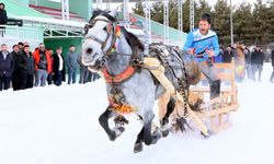 Erzurum'da atlı kızak şampiyonasında büyük kapışma