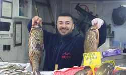 Samsun’da, Karadeniz hamsi 100 liraya tezgahlarda yerini aldı