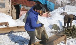 Bitlis'te besicilerin zorlu kış mesaisi