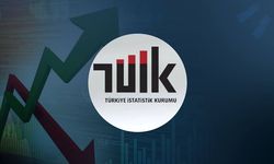 TÜİK: Türkiye'nin yüzde 49,6'sı mutlu