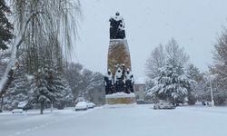 Erzincan'da yüzlerce köy yolu ulaşıma kapandı