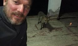 Kardeşini öldüren şüpheli, ormanda termal dronla yeri tespit edilip yakalandı