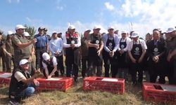 Kastamonu'da 2 bin 100 kınalı keklik doğaya salındı
