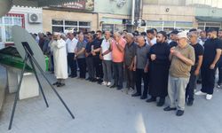 Otomobil, bariyerlere çarparak takla attı; 2 ölü, 3 yaralı (2)
