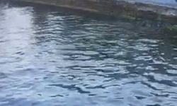 Sarıyer’de polisten kaçtı, 13 yıl hapis cezası çıktı