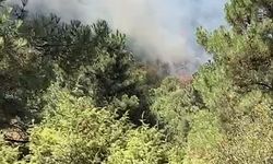 Sultangazi'de otluk alandaki yangın evlere sıçradı: İki gecekondu kullanılamaz hale geldi