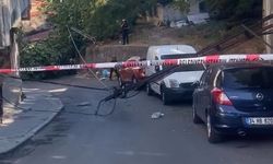 Beyoğlu'nda devrilen ağaç elektrik direklerini yıktı 2 araç hasar gördü