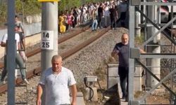 Marmaray hattına ağaç devrildi, yolcular demir yolunda yürüdü