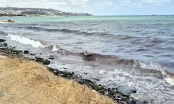 Tekirdağ’da deniz, kızıl yosunlar nedeniyle kırmızı renge büründü