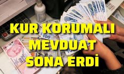 Flaş