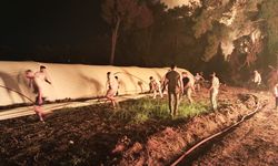 Antalya'da orman yangını; 2 otel tahliye edildi