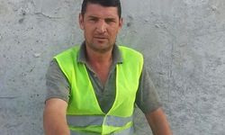 Ceviz toplarken elektrik akımına kapılıp öldü