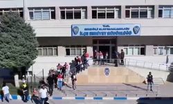 41 ilde dolandırıcılık operasyonları: 206 tutuklama