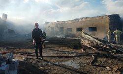 Ardahan'da çıkan ağır yangınında 23 hayvan öldü