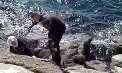 Avcılar sahilinde kayalıkların arasına düşen kadını güvenlik görevlisi kurtardı