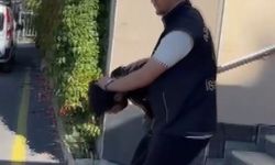 Fatih'te iş yerindeki kasayı açamayınca taşıyarak çaldılar