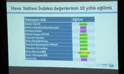 'İstanbul'un soluduğu hava Dünya Sağlık Örgütü'nün önerdiğinin 2,5 katı daha kirli'