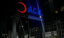 İzmir'de köpeğe ateş açtı, saçmalar yoldan geçen çifte isabet etti; 1 ölü, 1 yaralı