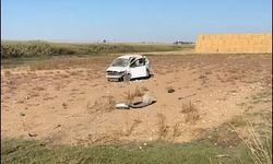 Mardin- Hafif ticari araç ile motosiklet çarpıştı; 1 ölü, 1 ağır yaralı