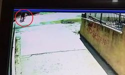 2 kardeşin öldüğü kazada kamyon şoförü için 15 yıla kadar hapis istemi