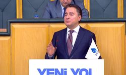 Babacan: Sayın Erdoğan'ın konuyu sahiplenmediğini gördük