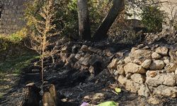 Bahçesindeki otları yakarken alevlerin arasında kalıp öldü