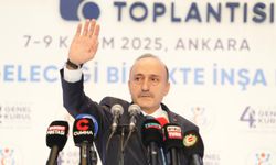 Bakan Işıkhan: Yangınla ilgili başmüfettiş görevlendirdik