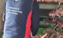 Çanakkale'de izinsiz ve uygunsuz koşullarda et işleme faaliyeti gösteren işletme mühürlendi