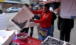 Samsunspor'un başarısını, 75 kasa hamsiyi, kilosunu 25 TL'den satarak kutladı